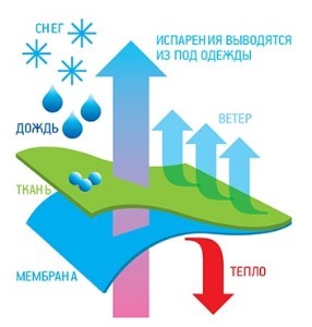 Как выбрать костюм для беговых лыж